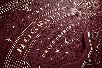 Amazon.co.jp: theory11 ハリーポッター ボックスセット : おもちゃ